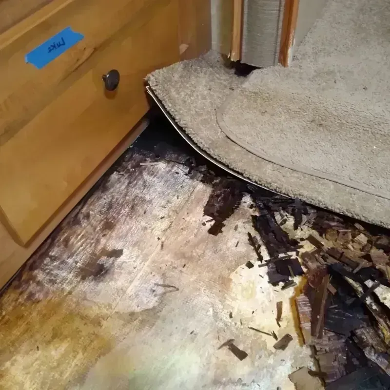 Wood Floor Water Damage in Saint Marys, OH